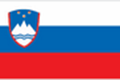 Slovenia flag